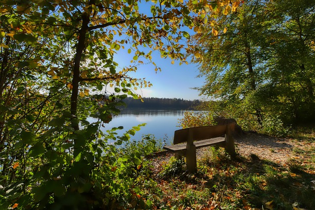 而理文則需 而理文則需