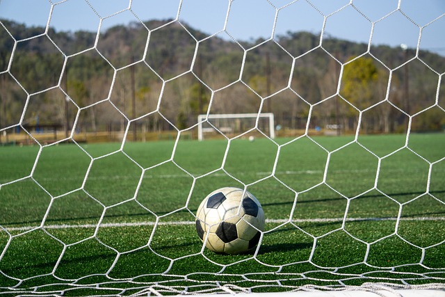 为一个重要 为一个重要