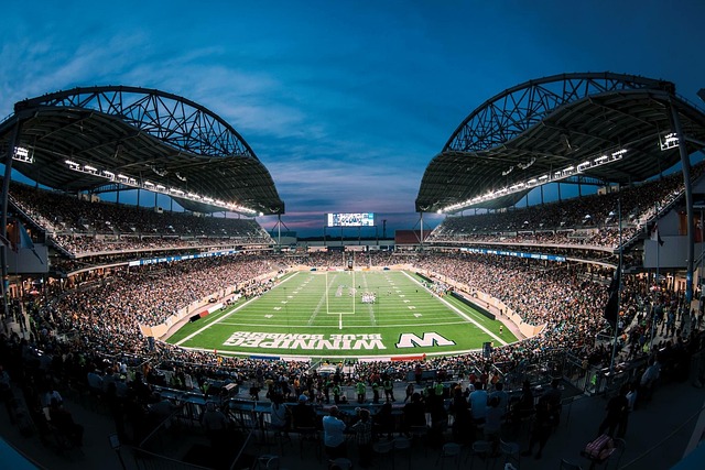 别的心理支 别的心理支