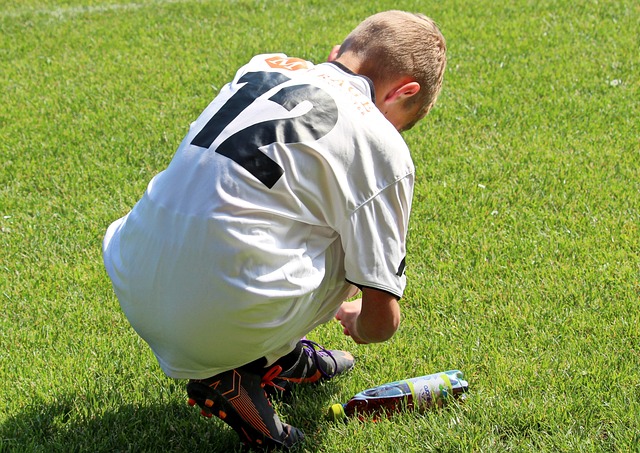 参与国家在 参与国家在